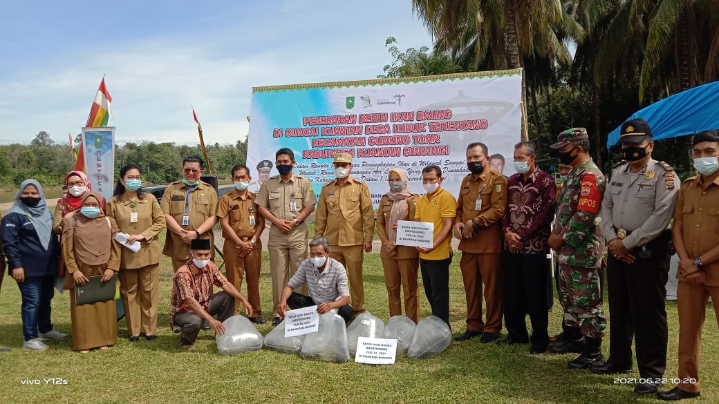 Kadis Perikanan dan Kelautan Riau dan Wabup Kuansing Tebar 112 Ribu Benih Ikan di Sungai Kuansing
