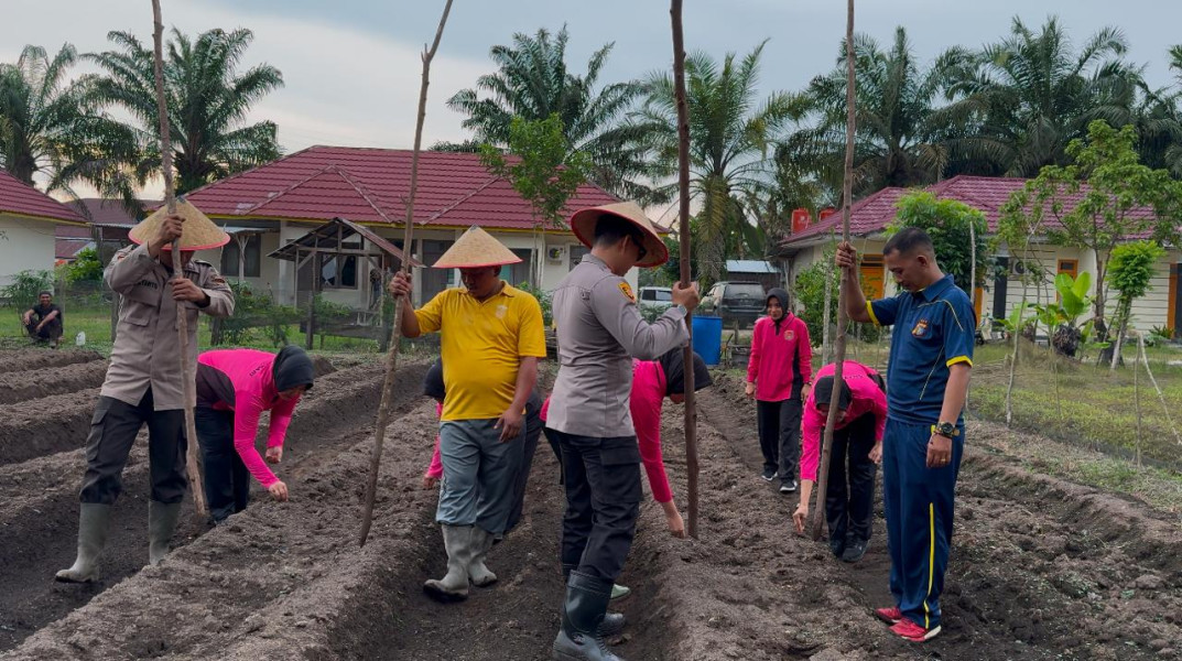 Polsek LBJ Berdayakan Pekarangan Mapolsek untuk Ketahanan Pangan
