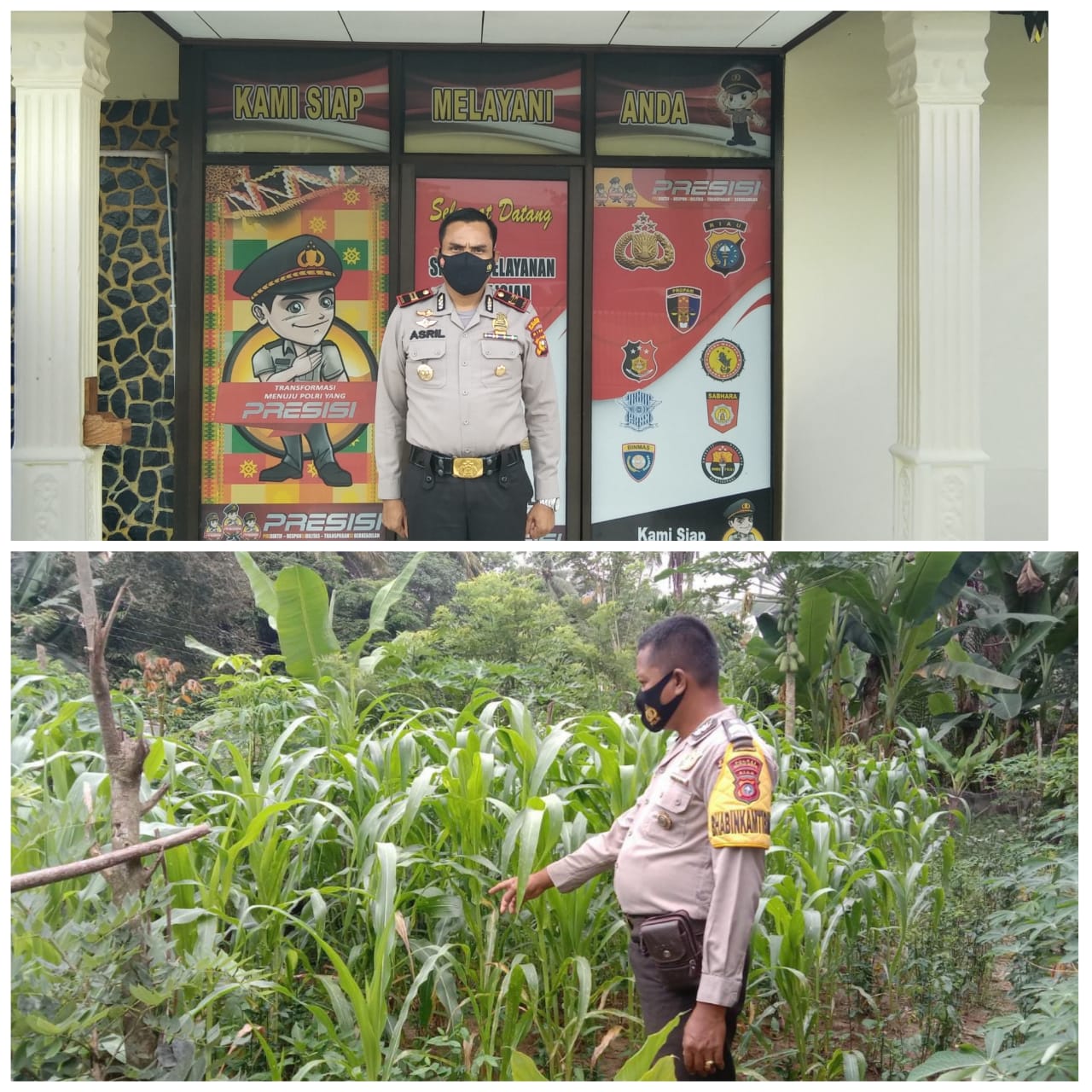 Dukung Program Ketahanan Pangan Nasional, Kapolsek KH: 3 Hektar Kampung Tangguh Ditanami Jagung