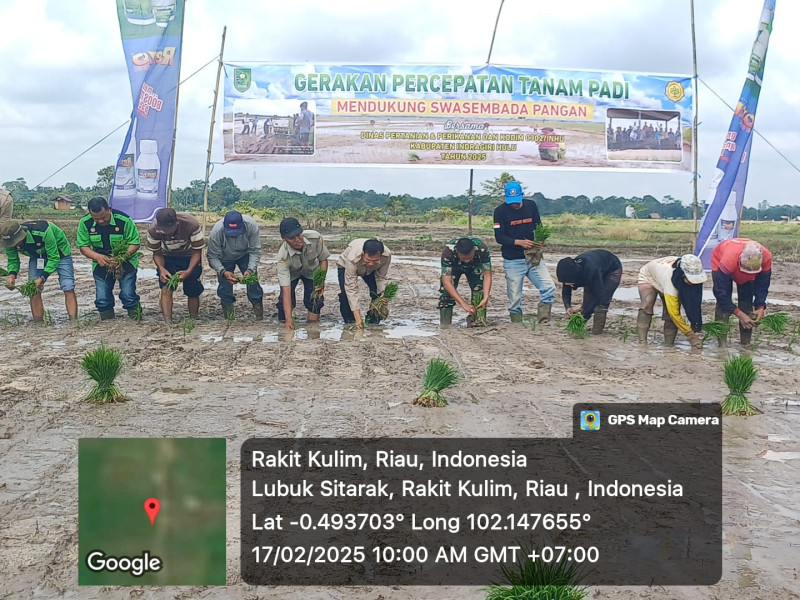 TNI dan Pemerintah Inhu Kolaborasi dalam Gerakan Percepatan Tanam Padi di Desa Kelayang