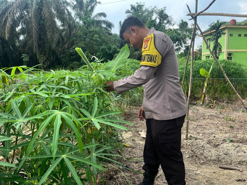 Dukung Asta Cita, Polsek Batang Gansal Monitoring Ketahanan Pangan Pekarangan Warga