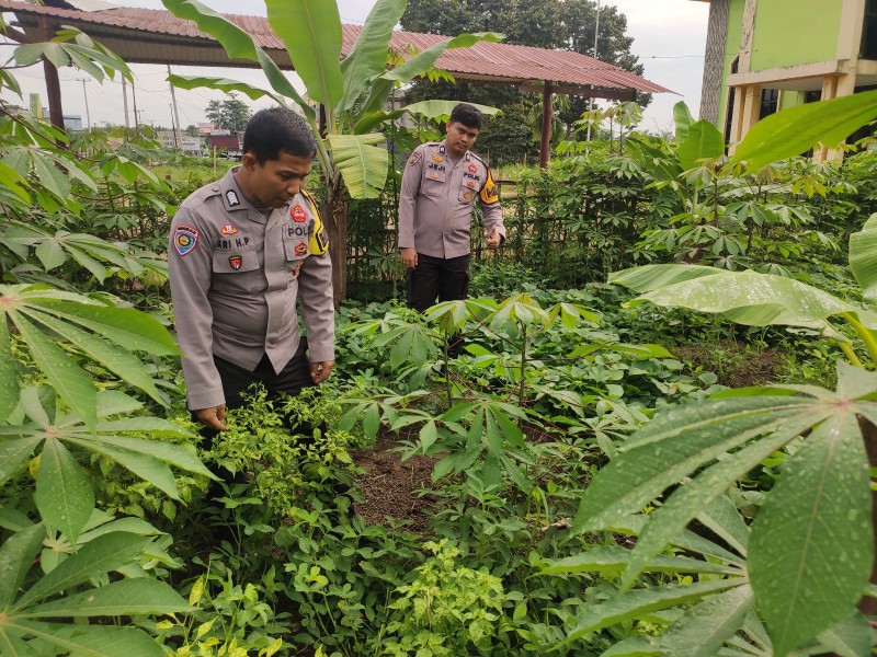 Wujudkan Asta Cita, Polsek Batang Gansal Pastikan Perkembangan Tanaman Pangan Warga Berjalan Baik