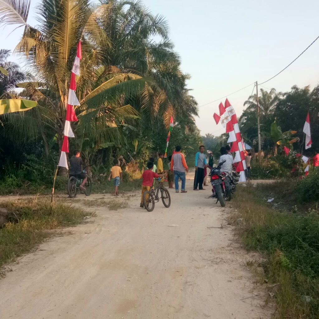 Warga Dusun Purwo Sari, Desa Titian Resak Antusias Sambut HUT RI ke 75 dengan Pasang Umbul-umbul