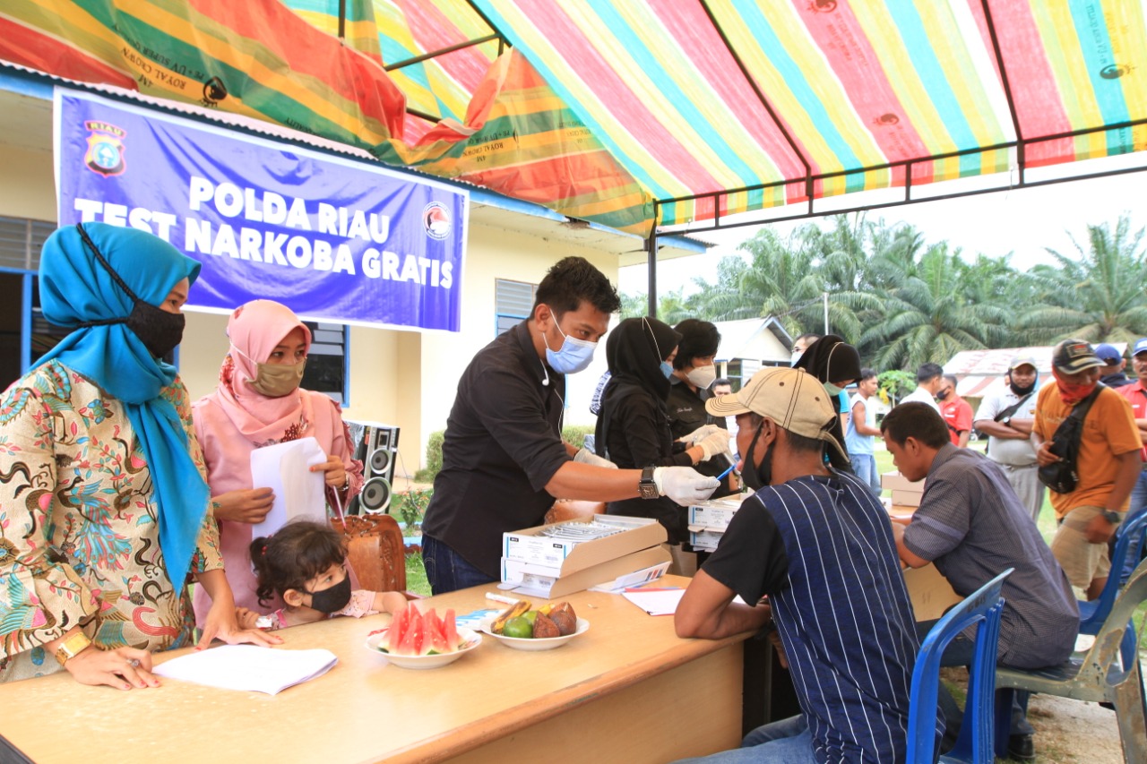 Tes Narkoba Gratis Dari Polda Riau, Ratusan Karyawan PT IP Batang Gansal Negatif