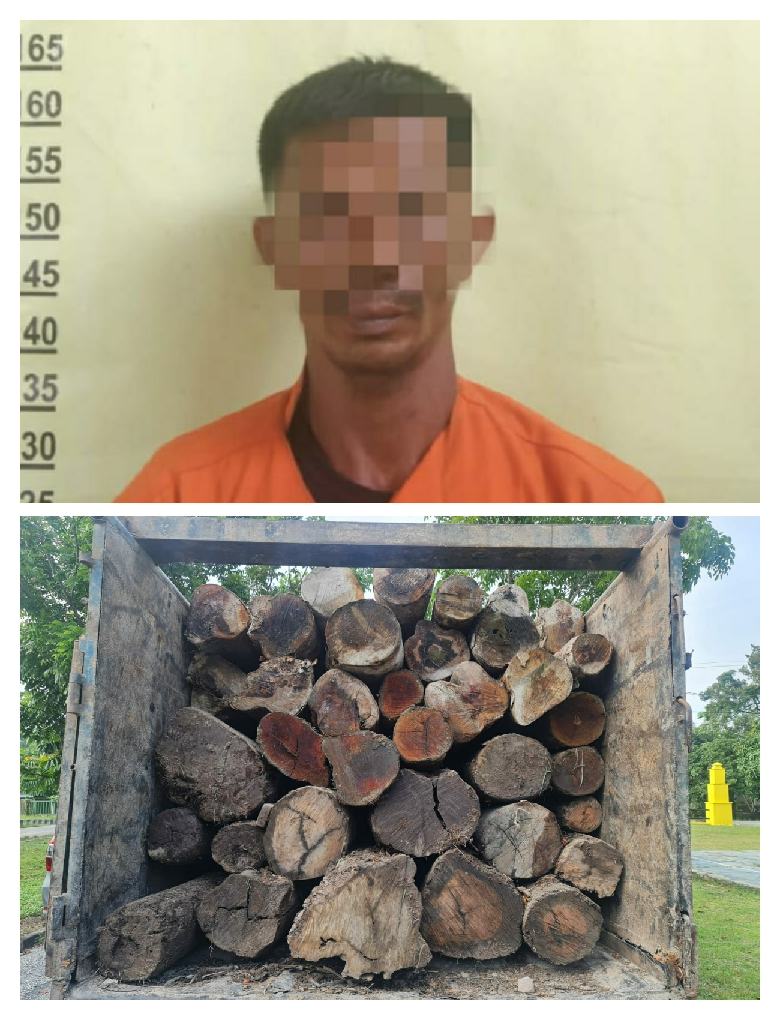Diduga Hasil Pembalakan Liar, Polsek Siak Hulu Amankan Sopir Beserta Truk Bermuatan Kayu 
