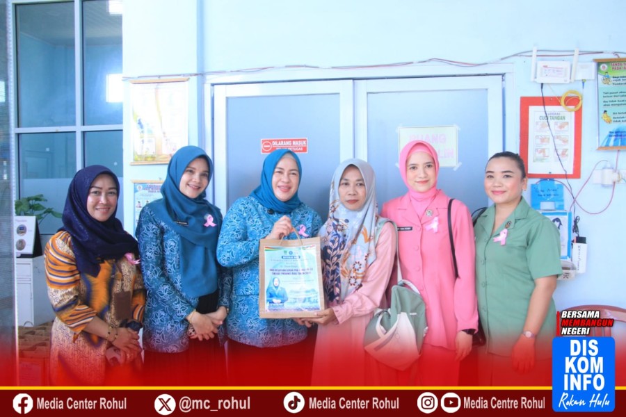 HKG Ke-53, Ketua TP PKK Rohul Tinjau IVA Tes Di Puskesmas Ujung Batu