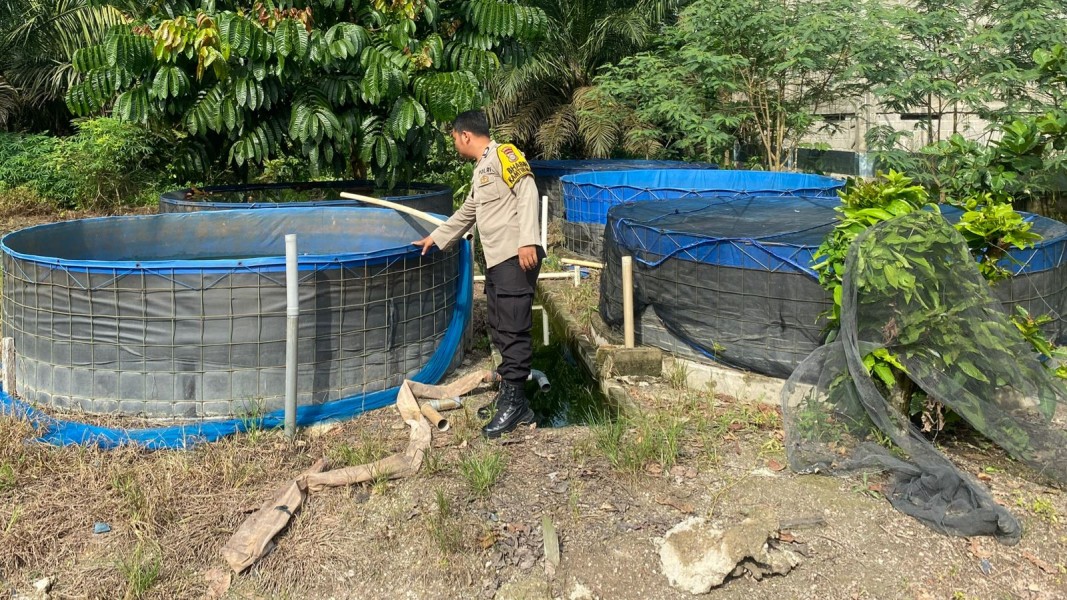 Bhabinkamtibmas Desa Payarumbai Dukung Program Ketahanan Pangan Nasional Melalui Budidaya Ikan Nila