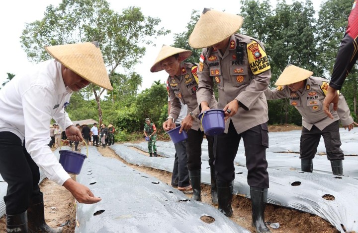 Polres Natuna Tanam Jagung untuk Masyarakat Petani