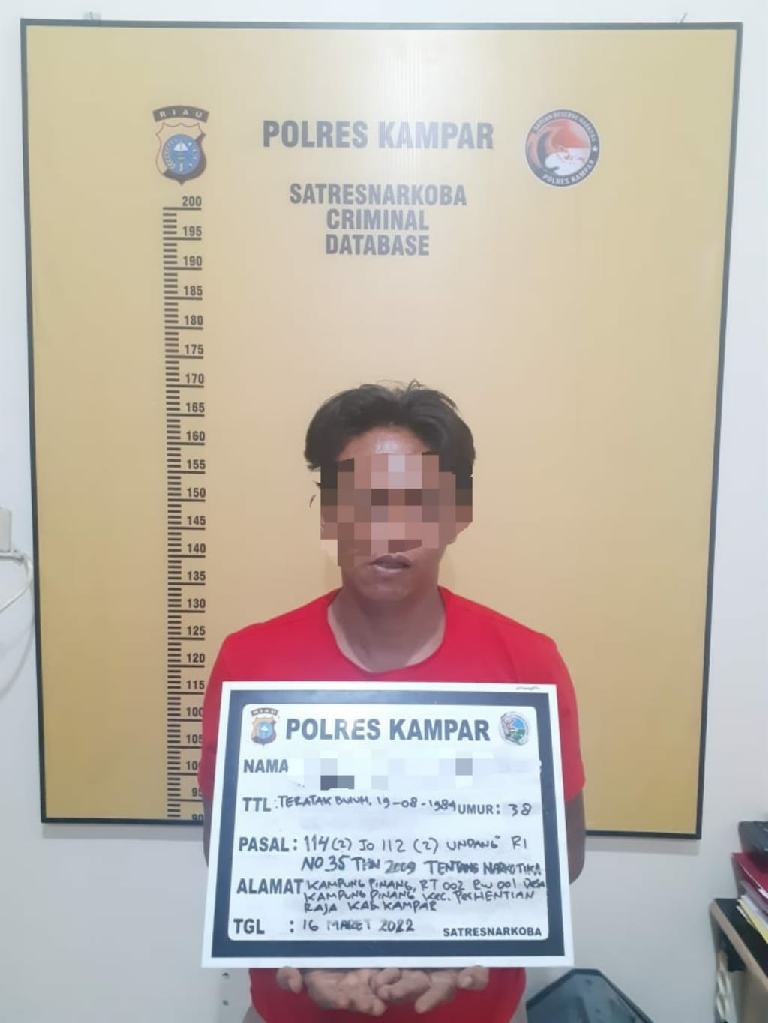DPO Narkoba Desa Kampung Pinang Ini Akhirnya Ditangkap