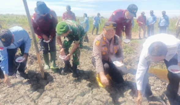 Polsek Bangko Bersama Kelompok Tani Suak Air Hitam Tanam Jagung Seluas 1 Juta Hektare