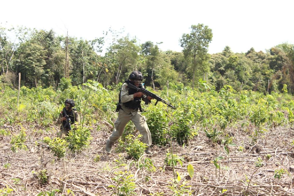 Peragaan Kemampuan Lapangan Brigade Mobile Jungle Warfare Dalam Rangka HUT Yon B Pelopor