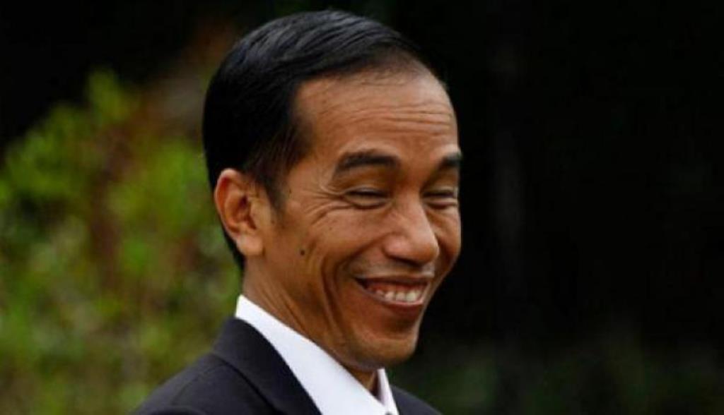 Presiden Jokowi Dipastikan Batal ke Riau