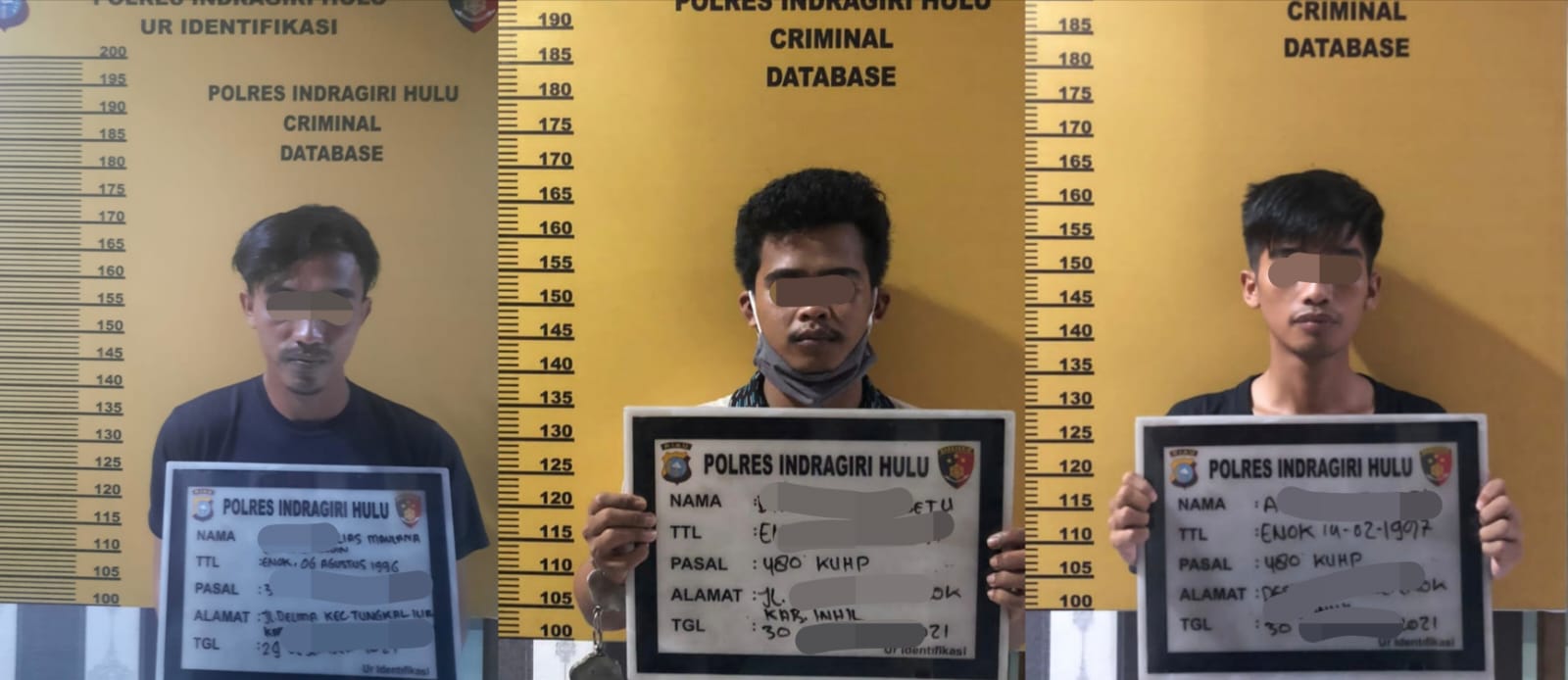 Gelapkan Uang Ratusan Juta, Sales dan 2 Temannya Diringkus Buser Polres Inhu