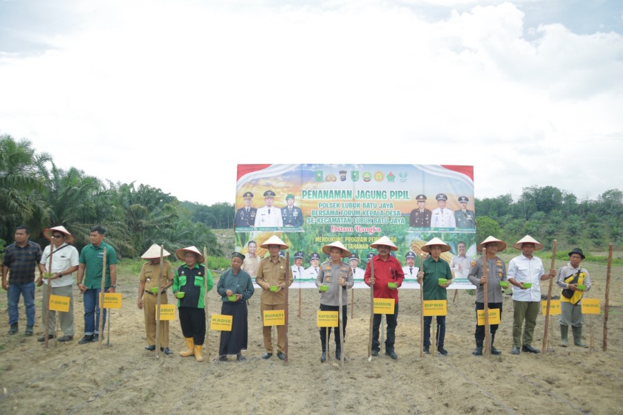 Wakapolres Inhu Tanam 10 HA Jagung Pipil LBJ, Dukung Swasembada Pangan