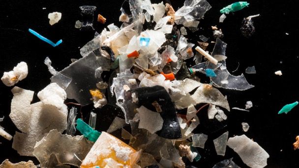 Mikroplastik Mengintai Tubuh Manusia: Ancaman Tak Terlihat dari Plastik Sehari-hari