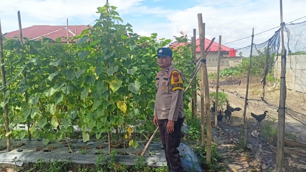 Polisi Turun ke Kebun, Bhabinkamtibmas Seberida Ajak Warga Bandar Padang Tanam Mentimun