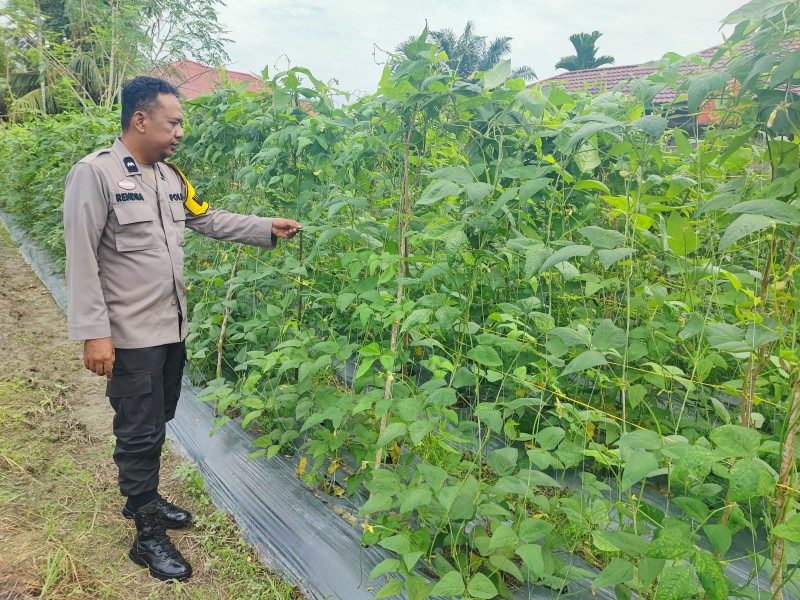 AIPDA Rendra Afridona Dorong Warga Kembangkan Pertanian Mandiri