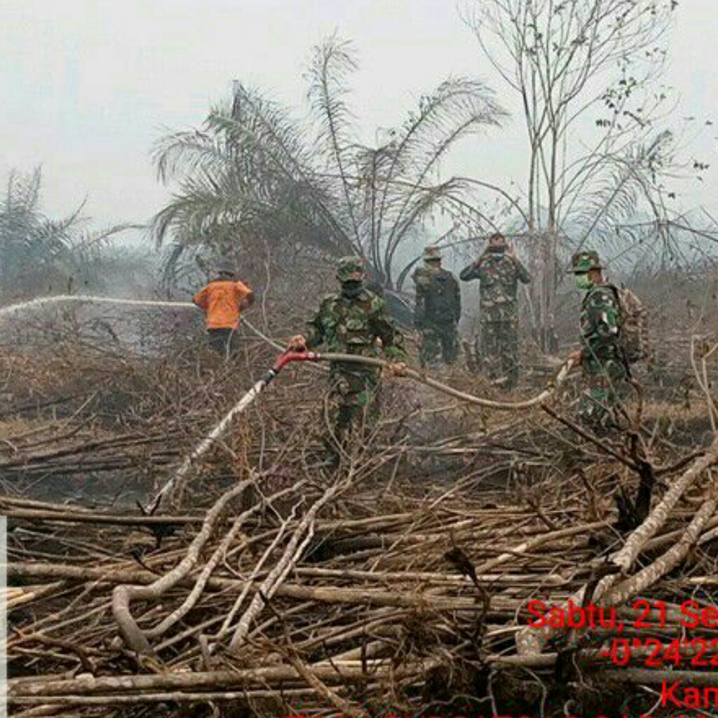 Upaya Massive Penanganan Karhutla di Wilayah Koramil 01/Rengat