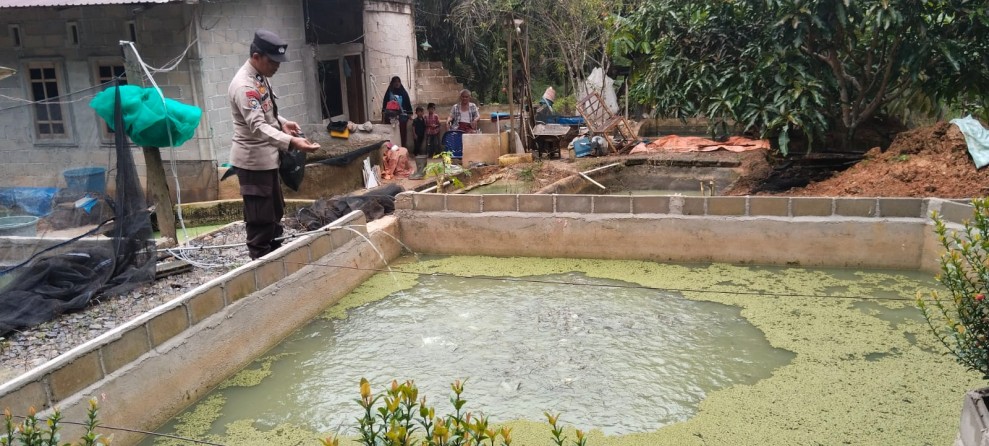 Polri Kawal Program Pekarangan Pangan Bergizi: 1.500 Ekor Ikan Patin Dibudidayakan di Desa Seberida