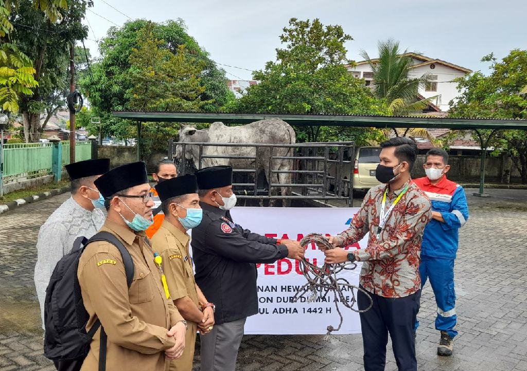 Pemkab Kampar Terima Bantuan Hewan Qurban dari Pertamina Gas Riau 