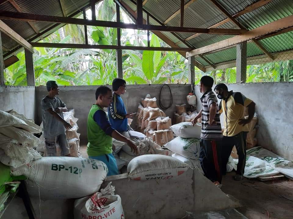 Kado HUT RI ke-76 Jadi Satu-satunya Desa Penghasil Benih Padi Unggul di Kuansing