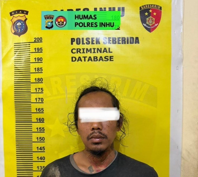 Satu Pelaku Diamankan, Tiga Kabur: Aksi Pencurian Sawit di PT Inecda Terbongkar