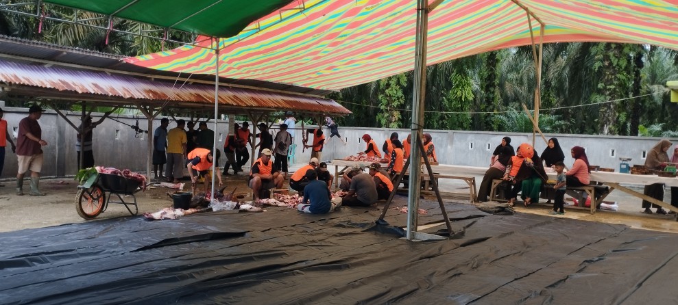 Hewan Kurban Mesjid Ar-Rohman Petalabumi Meningkat