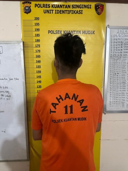 Digerebek di Rumah, Pengedar Sabu di Pulau Binjai Dibekuk Polsek Kuantan Mudik