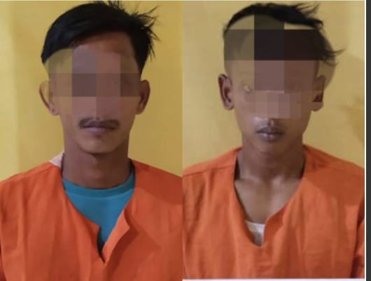 Dua Pelaku Narkoba Diciduk Tim Opsnal Polsek Tapung Hilir di Desa Kijang Jaya