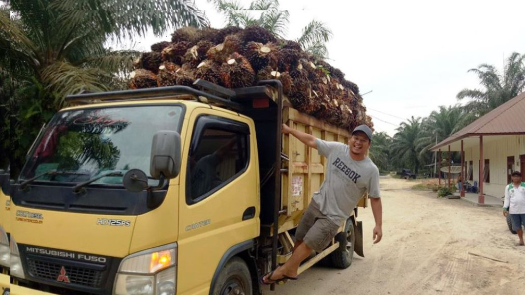 Harga TBS Sawit Mitra Swadaya Periode 16-22 April 2025 di Riau Menurun