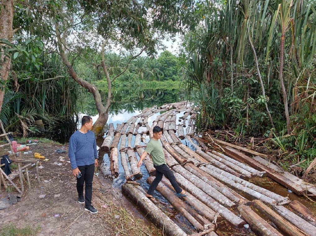 Tim Ditkrimsus Polda Riau Amankan Ratusan Tual Kayu Illegal Logging dari Mafia Mat Ali