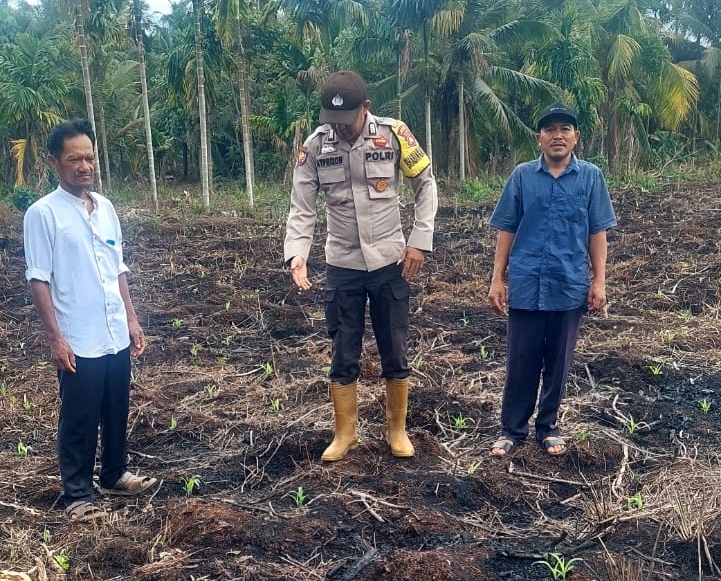 Bhabinkamtibmas Polsek Teluk Belengkong Cek Pertumbuhan Jagung di Desa Griya Mukti Jaya