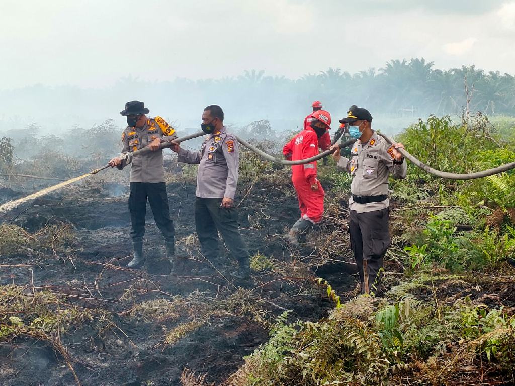 Pimpin Puluhan Anggota, Kapolres Kampar Sukses Padamkan Karhutla di Rimbo Panjang