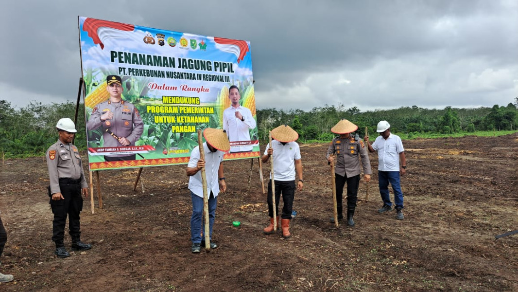 Kolaborasi BUMN dan Kepolisian, PTPN IV Tanam Jagung Pipil untuk Ketahanan Pangan
