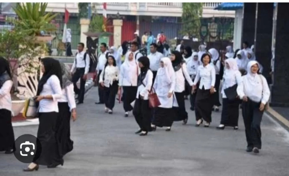 MOHON MAAF! MenPAN RB Resmi Umumkan Total Tenaga Honorer yang Tak Akan Diangkat Jadi ASN PPPK 2024, Bagaimana Nasibnya?