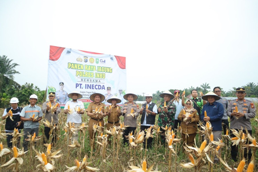 Panen Perdana Jagung Pipil Polres Inhu, Wakapolres: Hasil Cucuran Keringat, Ketekunan, dan Semangat Swasembada Pangan