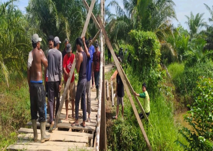 Sinergi Pemdes dan Masyarakat Tanjung Danau Bangun Jembatan Kayu di Jalan Produksi