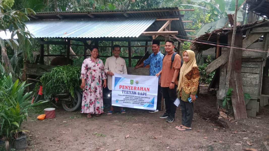 Kelompok Peternak desa Sungai Baung dapat bantuan hewan ternak Sapi dan Kambing