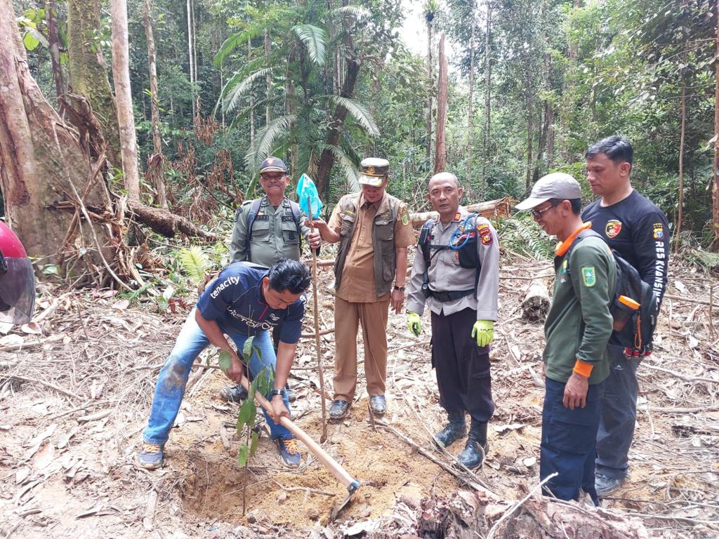 Polres Kuansing, Polsek Hulu Kuantan, Koramil Lubuk Jambi dan UPTD KPH Kabupaten Kuansing Lakukan Operasi Gabungan Penindakan Dan Pemberantasan Ilegal Logging Di Kawasan Hutan Lindung Bukit Betabuh