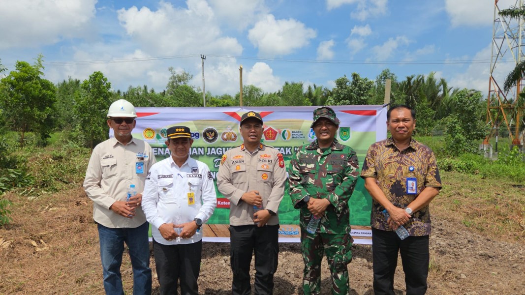 Forkopimcam Kateman Galakkan Penanaman Jagung Serentak, Dorong Kemandirian Pangan Warga
