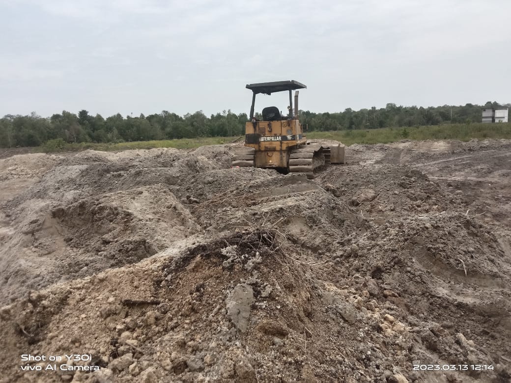 Bakau Manajemen Comunity Cam Keras Kepada Pengusaha Dumai Yang Merusak Lahan Mangrove Di Rupat