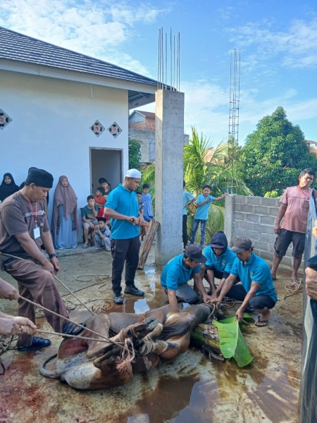 Masjid Raya Nurul Hidayah Pematang Lancang Laksanakan Pemotongan Hewan Kurban Idul Adha 1446H 18 Ekor