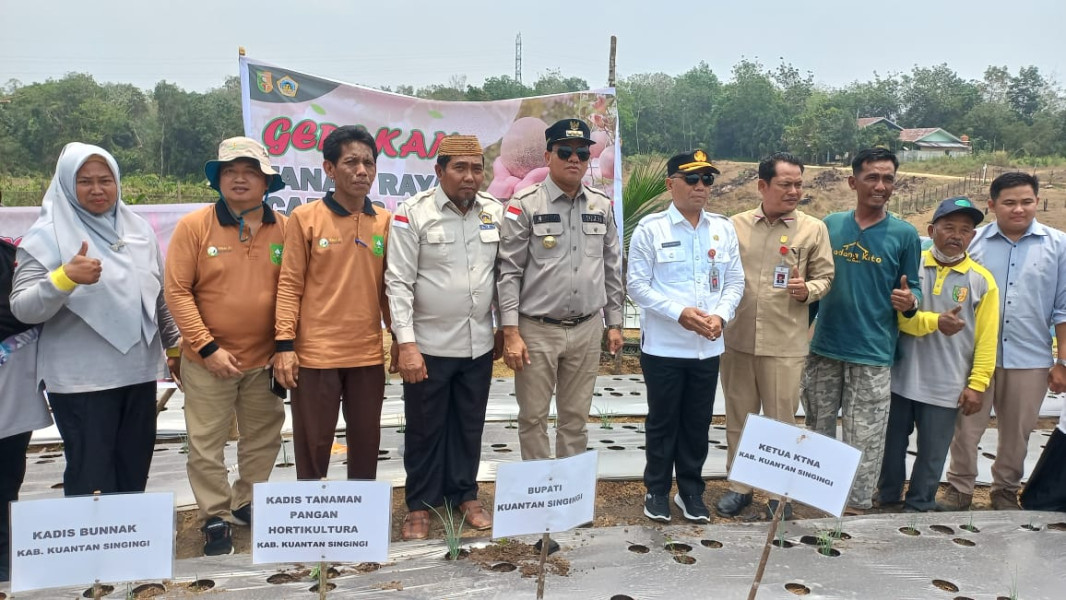Hut KTNA Ke-52 Tahun,KTNA Kabupaten Kuansing Lakukan Tanam Perdana Tanaman Melon Dan Cabai