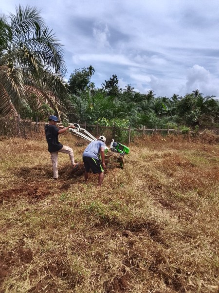 Polsek Logas Tanah Darat Cek Kesiapan Lahan Jagung di Desa Rambahan untuk Dukung Swasembada Pangan 2026