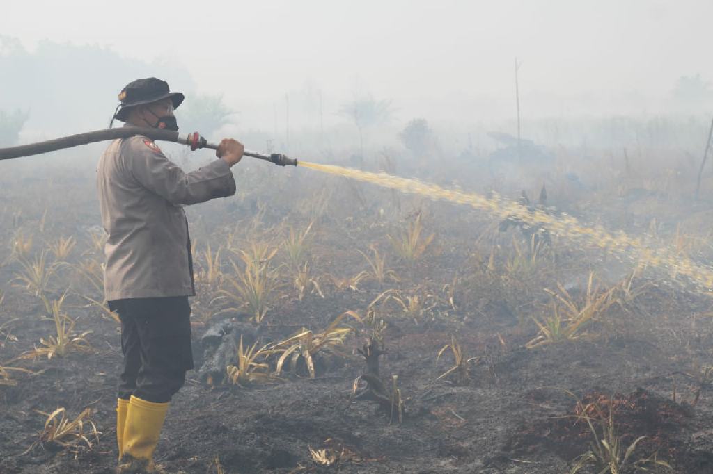 Kapolres Rohil dan Personel Berjibaku Bersama di Lokasi Titik Api 