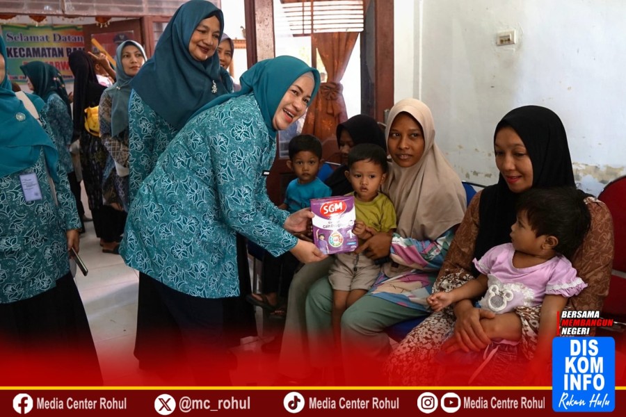 dr. Yeni Dwi Putri Tinjau Langsung Program Prioritas Kesehatan Di Kecamatan Rambah