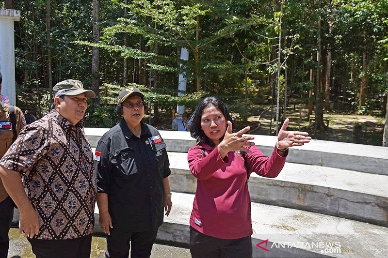 Besok, Presiden Jokowi serahkan 73.670 Hektare SK Perhutanan Sosial di Riau