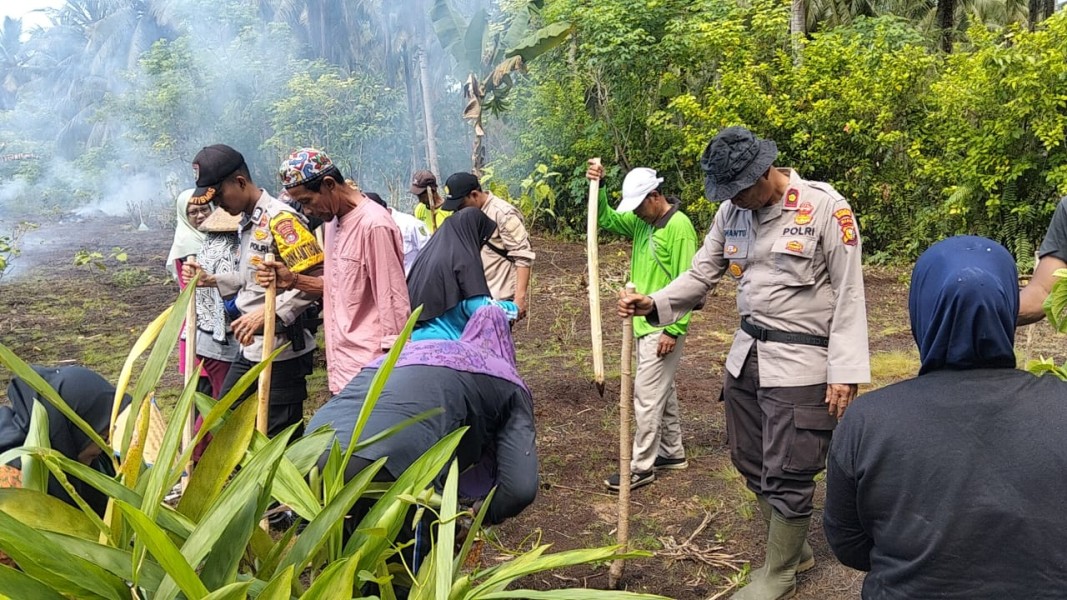 Polsek Kateman Dukung Ketahanan Pangan Lewat Penanaman Jagung di Desa Tanjung Raja
