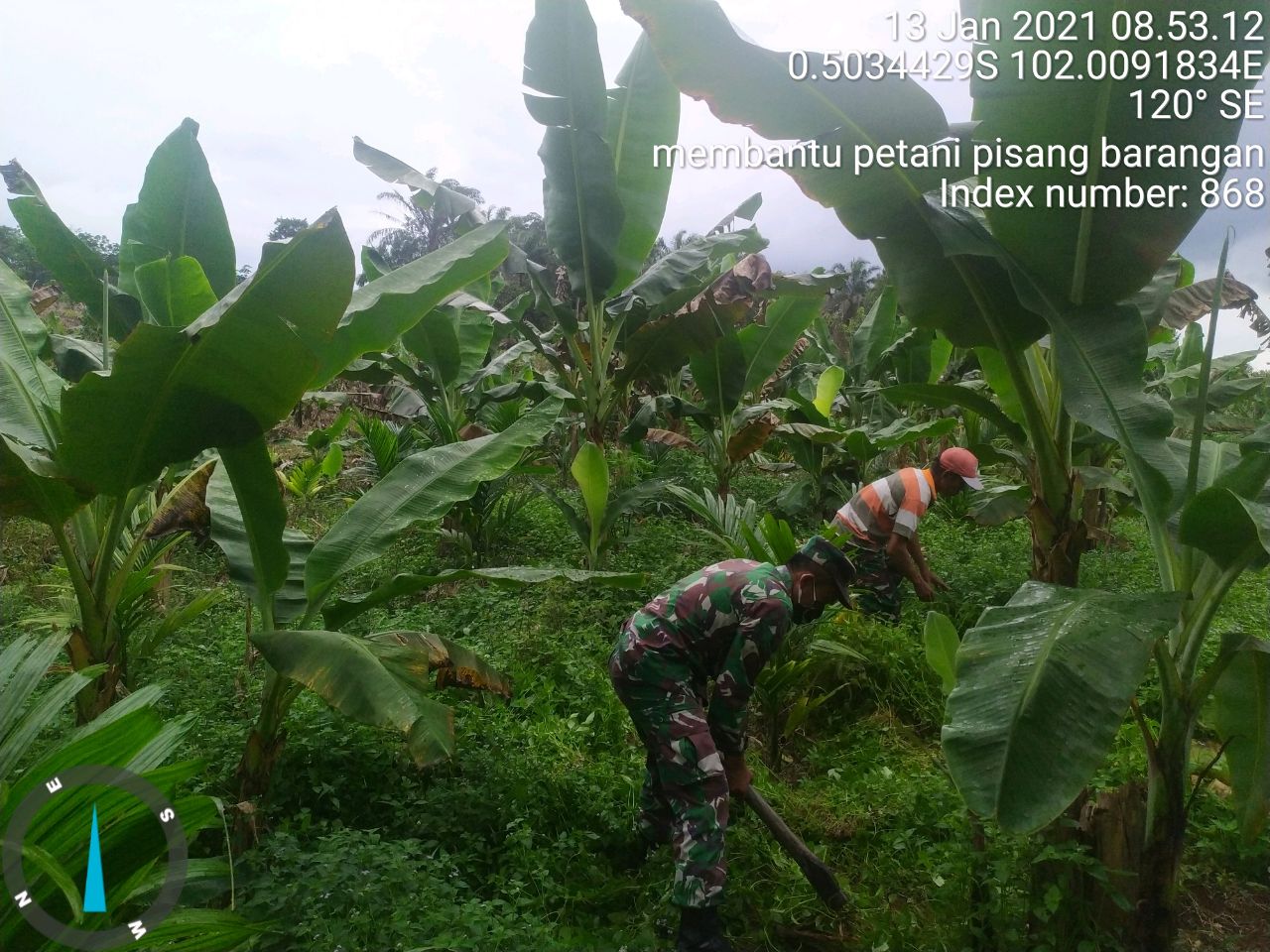 Tingkatkan Swasembada, Serda W. Liquisa Bantu Petani Bersihkan Tanaman Pohon Pisang