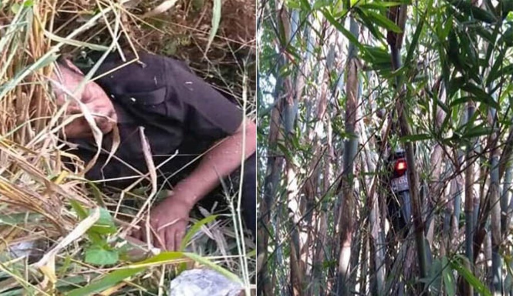 Viral Motor Driver Ojol Nyangkut Di Pohon Bambu Setelah Dapat Orderan Mistis, Ini Cerita Sebenarnya